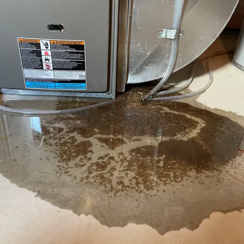 Appliance Leak Cleanup in Hall County, GA